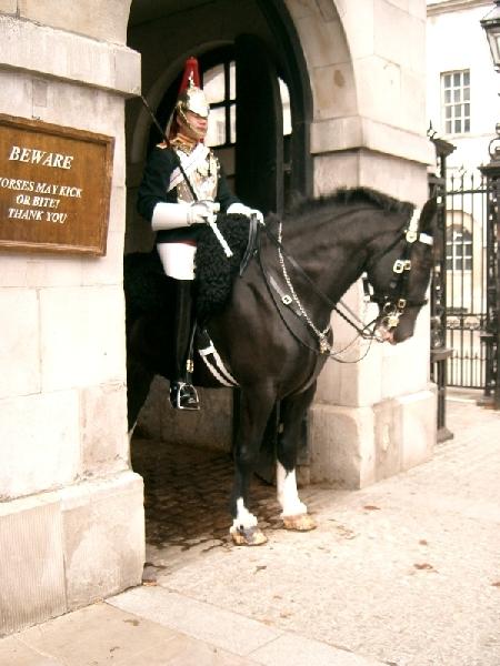 Die Horse Guards sind nicht zu beneiden. Und die Pferde echt arm. Stundenlang nahezu regungslos herumstehen - trotz der unzähligen, lästigen Touristen.
