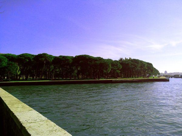 Blick auf die Kleine Insel Sant'Elena - ebenfalls sehr grün. Hier soll auch das Österreichhaus der Biennale stehen - ich habs nicht gefunden.